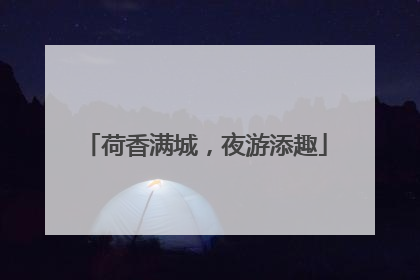 荷香满城，夜游添趣